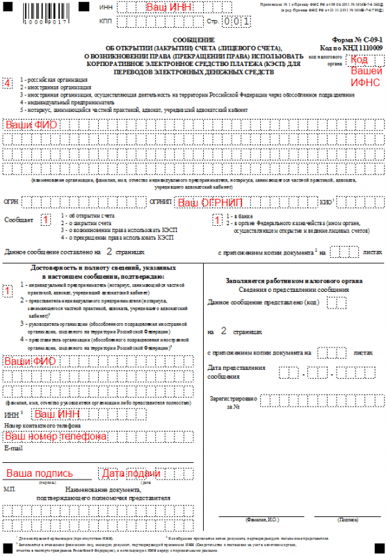Открытие расчётного счёта – уведомление в госструктуры в 2019 году Открытие расчётного счёта – уведомление в госструктуры в 2019 году