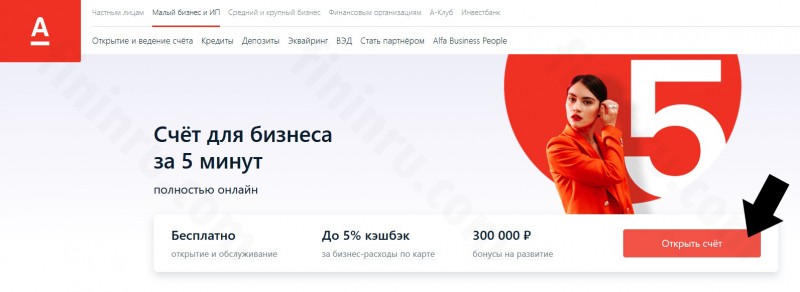 Тарифы и условия эксплуатации валютного контроля в Альфа-Банке