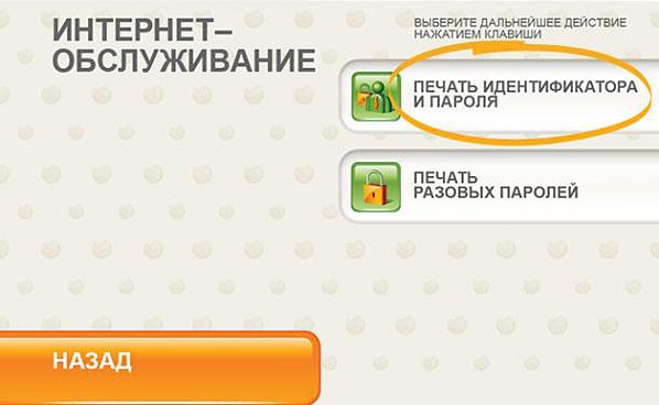 Руководство по оплате покупок через Сбербанк Онлайн