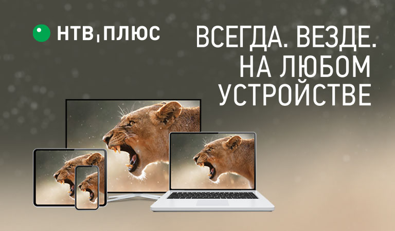 Оплата НТВ Плюс с помощью Сбербанк Онлайн и других инструментов Оплата НТВ Плюс с помощью Сбербанк Онлайн и других инструментов