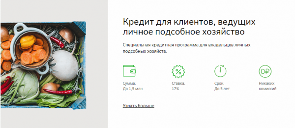 Сбербанк России
