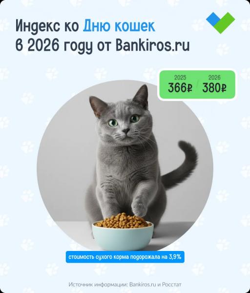 Индекс ко Дню кошек: сколько стоит сухой корм для домашних питомцев в 2026 году в разных городах России? Индекс ко Дню кошек: сколько стоит сухой корм для домашних питомцев в 2026 году в разных городах России?