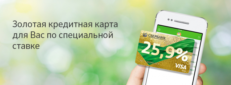 Особенности открытия валютной карты Сбербанка, условия использования Особенности открытия валютной карты Сбербанка, условия использования